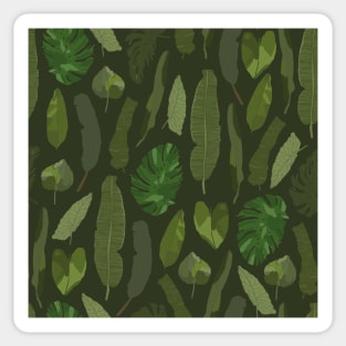 Monstera leaves Sticker